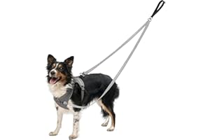 Two Point Control Dog Leash,No Pull Double Dog Leash for 2 Dogs No Tangle,Padded Reflective Handle,Converts to 1.2m Single Le