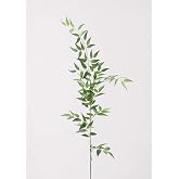 Afloral Fake Plants Italian Ruscus Branch - 49"