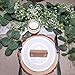 SUPLA 2 Pcs Faux Silver Dollar Eucalyptus Leaves Greenery Garland Total 12Ft Long Artificial Eucalyptus Twig Vine Garland Decorative Fake Hanging Eucalyptus for Greenery Decor Wedding Floral Mantle