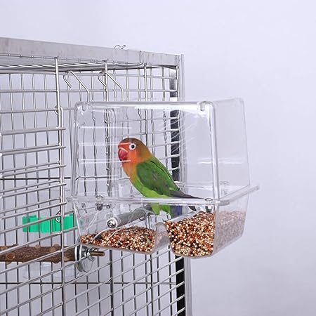 bird feeder automatic