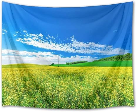 Amazon Co Jp Lb 自然風景タペストリー 青い空と菜の花畑 おしゃれ壁掛け インテリア 多機能ホーム装飾 壁吊り モダン 部屋 窓 個性ギフト 新居祝い 150ｘ100cm ホーム キッチン