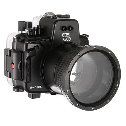 Yunchenghe Estuche estanco Sumergible para cámara de 130 pies / 40 ...