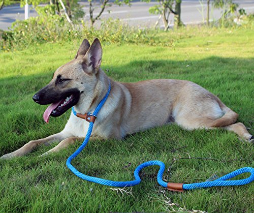 lynxking Dog Leash Rope Slip Leads Strong Heavy Duty No Pull Training Lead Leashes for Medium Large Dogs (5', Blue) - Thumbnail 3