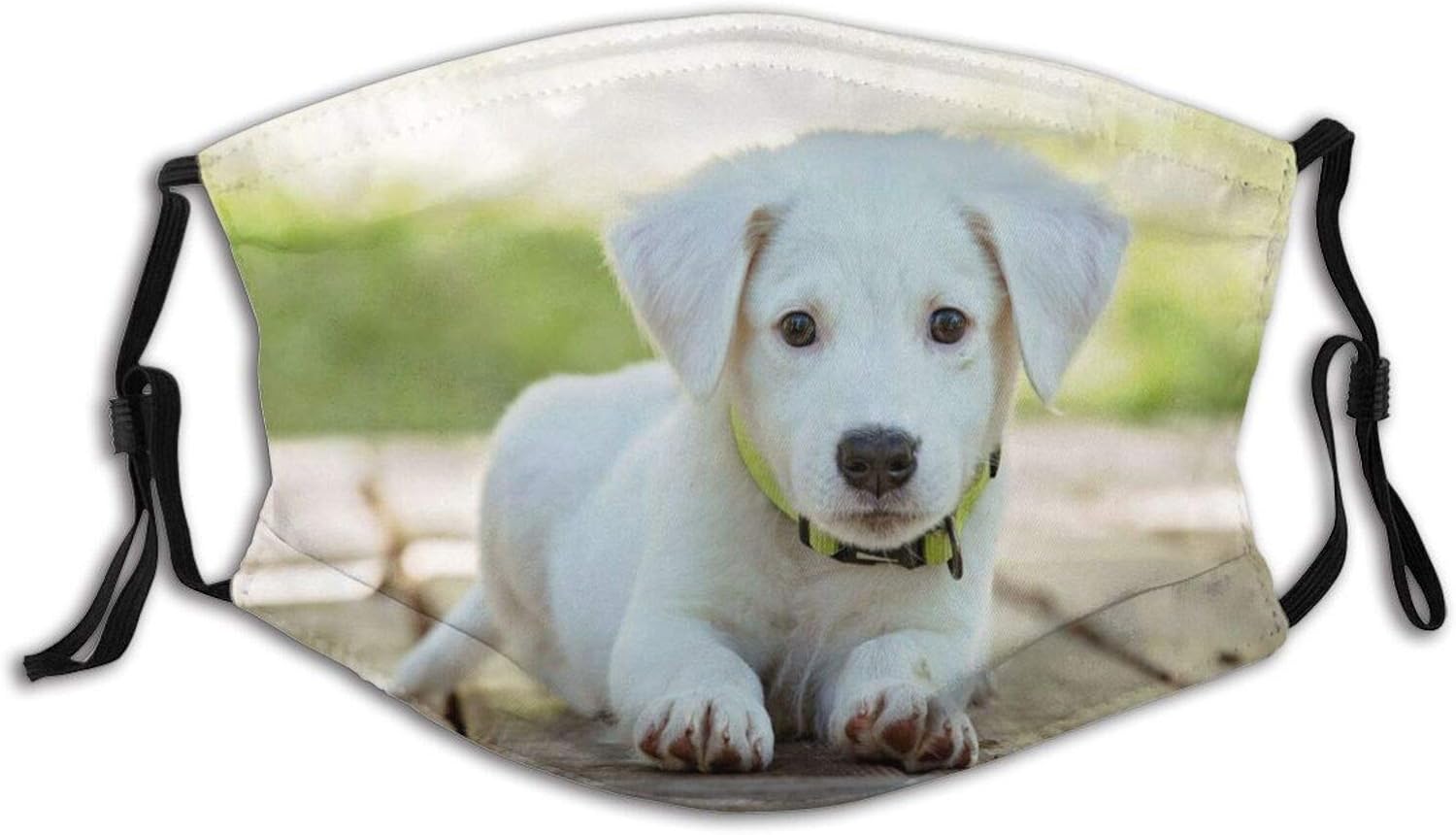 AnimalDog (3) Fashion Face Mask Unisex, with 2 Filters, Washable and