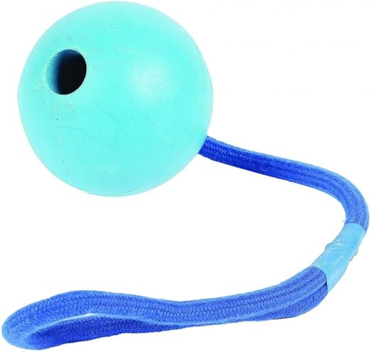 Happy Pet - Pelota con Cuerda (22cm) (Variado): Amazon.es: Hogar