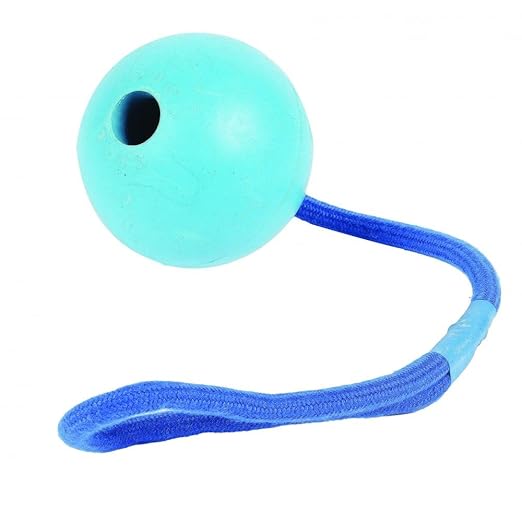 Happy Pet - Pelota con Cuerda (22cm) (Variado): Amazon.es: Hogar