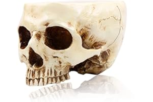 RMM Halloween Decoration Retro Human Skull Head Flower Pot Planter Bed Box Container Replica Home Bar Décor,Clear