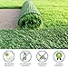 PZG Premium Artificial Grass Patch w/ Drainage Holes & Rubber Backing | 4-Tone Realistic Synthetic Grass Mat | 1.6-inch Blade Height | Lead-Free Fake Grass for Dogs or Outdoor Decor | Size: 5' x 3.3'