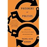 Prisoners of Politics: Breaking the Cycle of Mass Incarceration