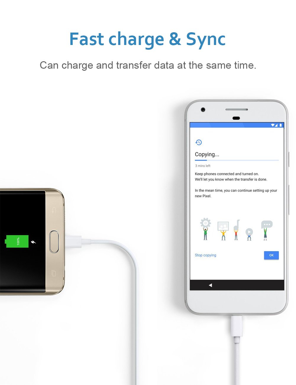 IQIYI Apple MFi Certified Lightning to USB Sync Charger Cable (0.25m Micro)