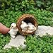 Miniature Fairy Garden Bunnies in a Walnut