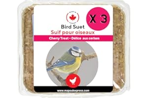 Wild Bird Suet Cakes, High-Energy Food for Backyard Birds (3 Pack, Cherry)