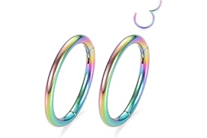 GAGABODY 2 Pcs Nose Rings 20G 18G 16G 14G 12G 10G 8G Surgical Steel Piercing Rings for Nose Septum Cartilage Helix Tragus Conch Rook Daith Lobe from 5mm to 16mm Seamless Hoop Unisex Hinged Earrings