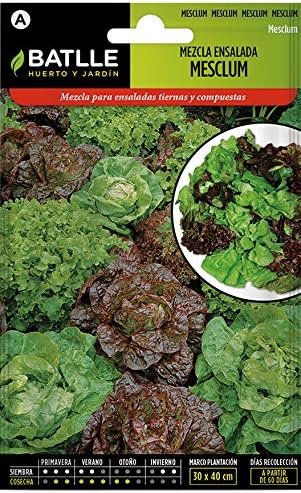 Semillas Hortícolas - Lechuga Mantecosa Cuatro Estaciones - Batlle ...
