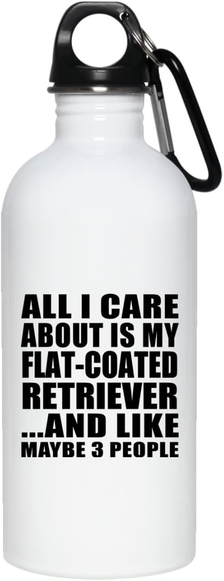 Designsify All I Care About Is My Flat-Coated Retriever - 20oz Water Bottle Insulated Tumbler Stainless Steel - Gift for Dog Pet Owner Lover Friend Memorial Birthday Anniversary Christmas Xmas Santa