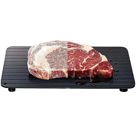 Rápida descongelación bandeja congelados carne descongelar ...