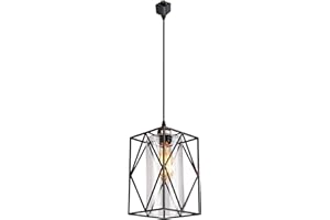 Kiven H Track Lighting Pendant,Elegant Metal Cage Pendant Light with Inner Clear Glass Shade, 1-Light