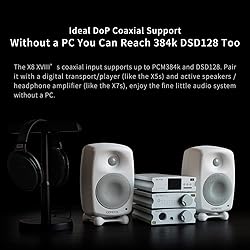 aune X8 18th Anniversary Edition-BT DAC/Hi-Res