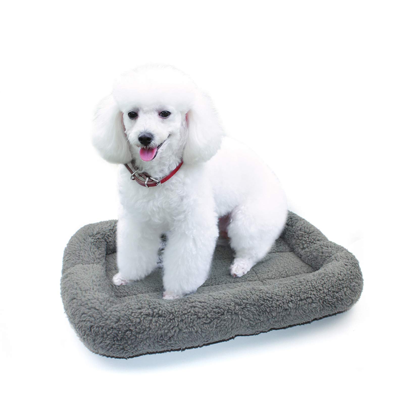 Photo 1 of Enjoying Cat Mat Bed 16" x 22" Pet Bed with Pillow Around for Dogs Cats Curled Sleeping Beds for Carrier/Crate Small to Medium Dog Cushion, Anti Skid Bottom, Medium