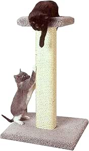 slanted cat scratching post