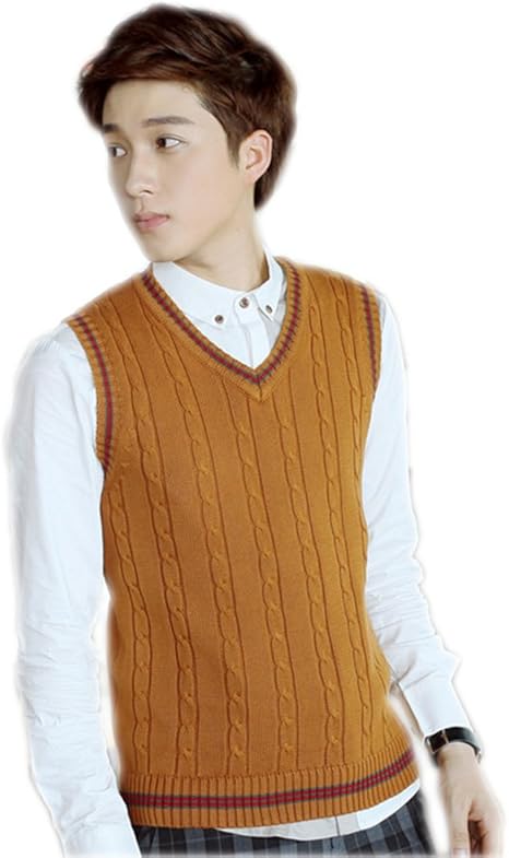Amazon Fevon ニットベスト メンズ セーター Vネック ケーブル トップス ノースリーブ カジュアル スリム 着やせ オフィス ビジネス 暖かい 春 秋 冬 ベスト 通販