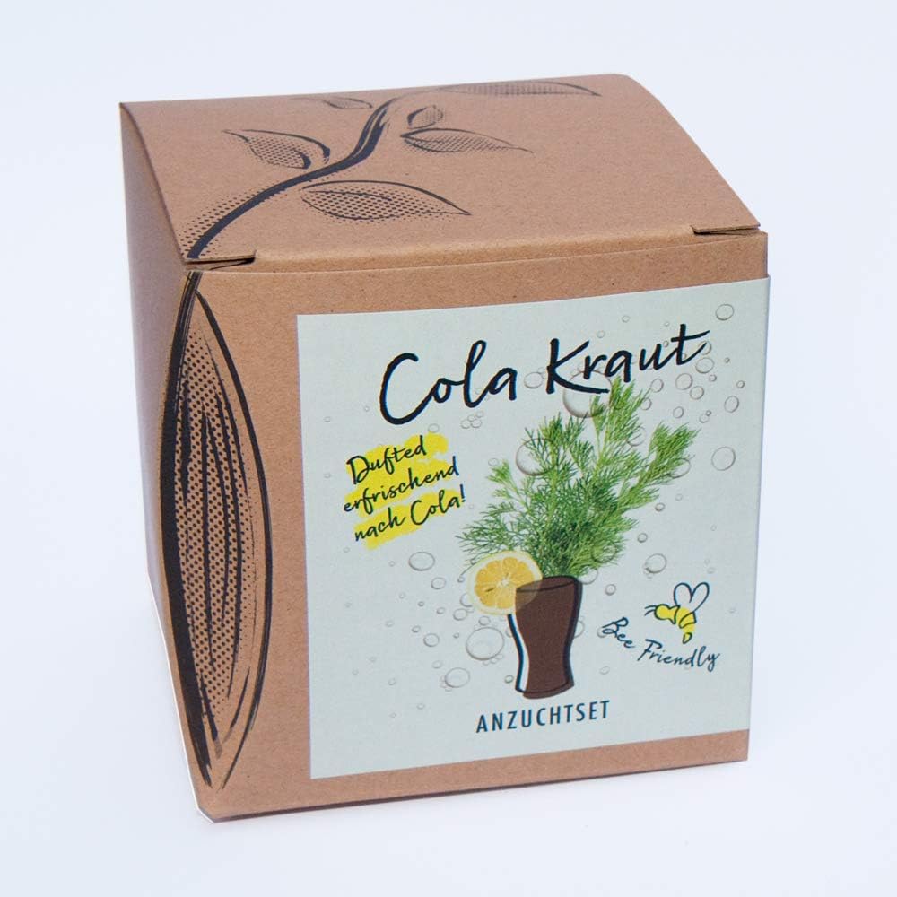 Cola Herb Gift Growing Set - Cola Scented Plant