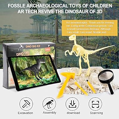 Amazon Karaqy 恐竜 4d レビュー 化石 考古学 ディグキット 恐竜 スケルトン スキャンによる復活 無料アプリ Androidとiosシステムに対応 Karaqy01 科学 サイエンス おもちゃ
