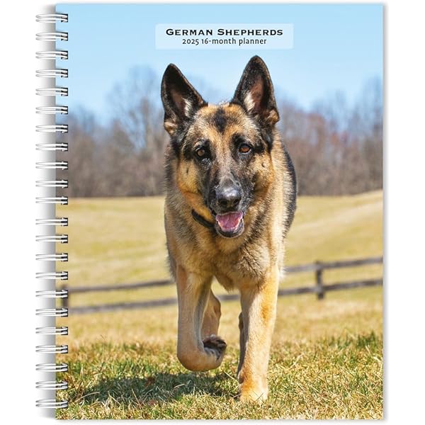 German Shepherds | 2026 6 x 7.75 Inch Spiral-Bound Wire-O Weekly