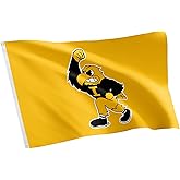Desert Cactus University of Iowa UI Flag - 3 x 5 Feet Hawkeyes Banner, Indoor/Outdoor Durable Fabric, 100% Polyester Design (Style 3)