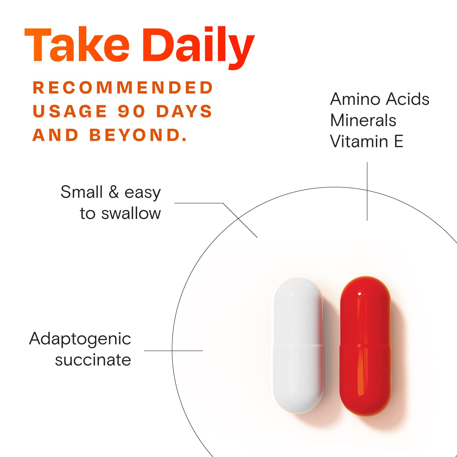 Amberen Menopause Supplement for Women, 60 Capsules, Clinically Proven, Helps Support Hormone Balance, Helps Relieve 12 Menopause Symptoms: Hot Flashes, Night Sweats, Mood Swings and More