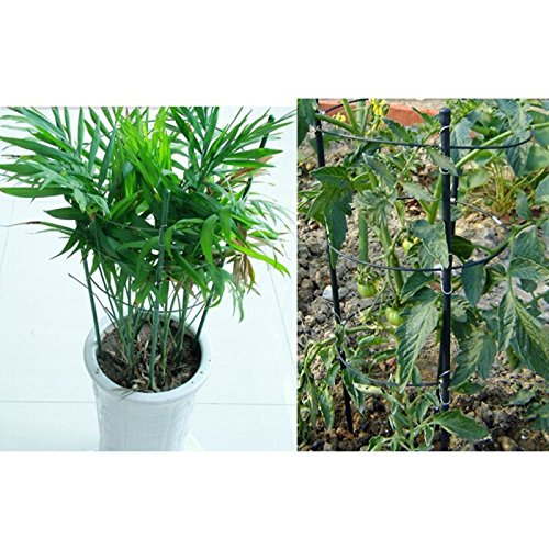 Wewoo Jardinería 2 pcs Escalada Rattan Planta Titulaire Redonda en ...