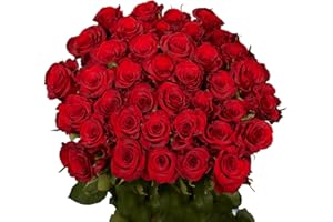 GLOBALROSE Fresh Flowers for Mothers Day- 50 Red Roses- Lovely Gift