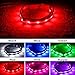 Blazin Light Up Dog Collar - The Original LED Dog Collar - USB Rechargeable - Waterproof - 1,000 Feet of Visibility - Dog Collar Light for Small, Medium, Large Dogs - USA Brand