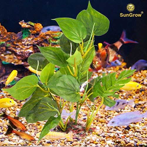Anubias Sungrow Plastic Leaf Plant For Freshwater Or Marine Tanks 25cm Ultra Realistic Fake Plant Blunt Leaf Edges Protect Fish Fins Hiding Spot For Fish Reptiles Amphibians Looks