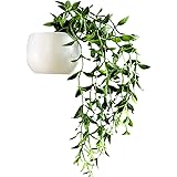 TIYGHI Fridge Magnets Artificial Hanging Plants Refrigerator Magnets Fake Succulents Whiteboard Magnet Strong Magnetic Fridge