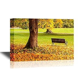 Bench and Oak in City Park in The Autumn