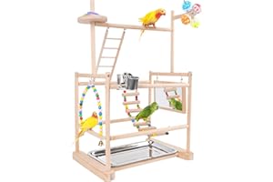 Chuiendi Bird Playground, Parrot Perch Stand, Natural Wood Play Stand Play Gym for Parakeet Conure Cockatiel Lovebird Budgie with Feeder Cups, Swings, Ladder and Detachable Tray