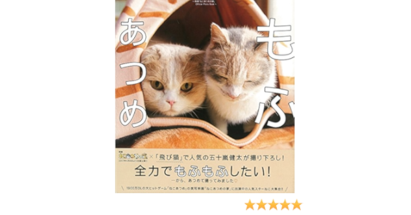 Also Willing And Desire Film House Of Cats Willing Official Photo Book Amazon Com Books