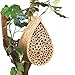 Collections Etc Hanging Bamboo Mason Bee Hive House, Beige