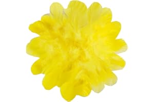 HaiMay 450 Pieces Yellow Feathers for Craft Wedding Home Party Decorations, 3-5 Inches Yellow Craft Feathers