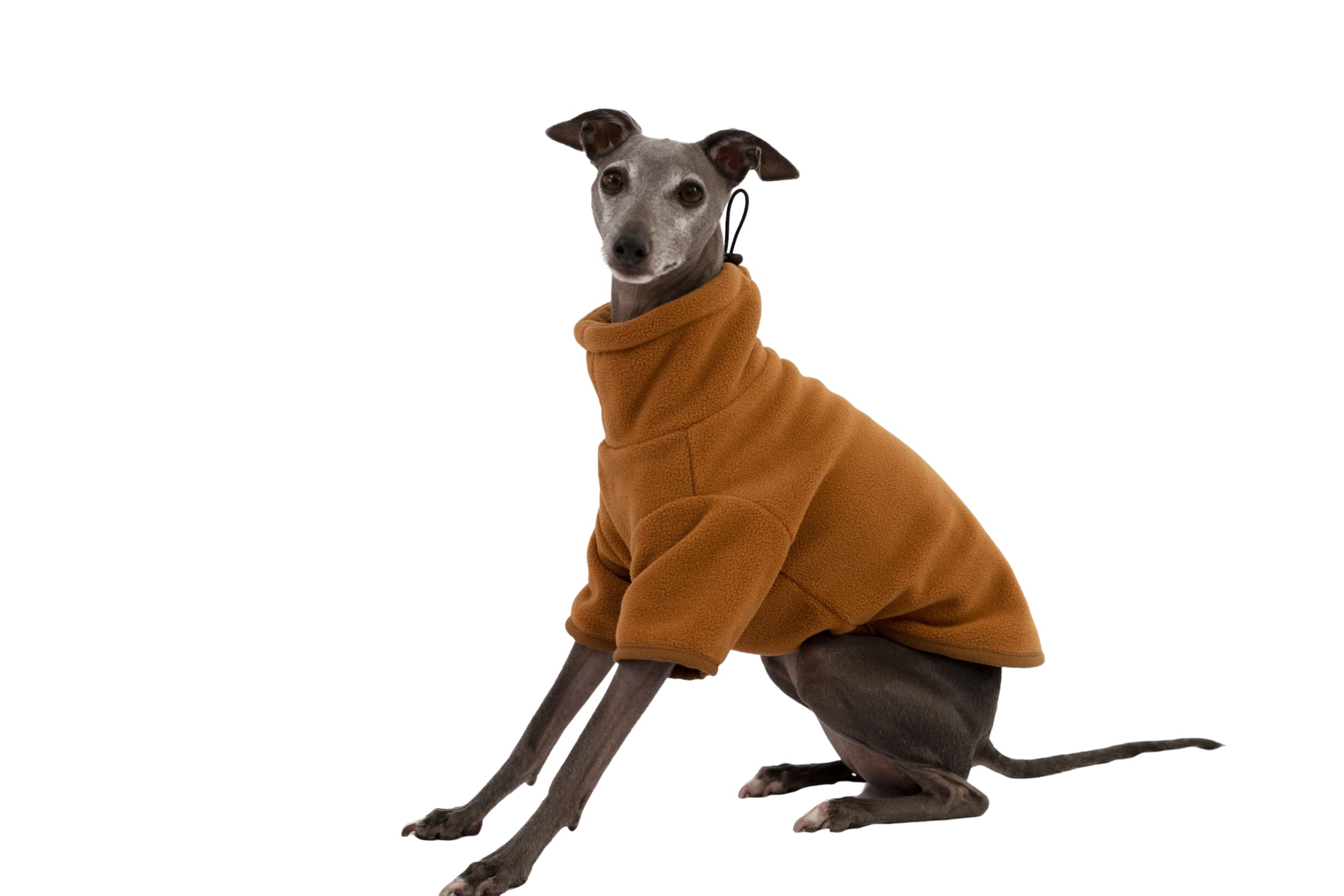Photo 1 of Turtleneck Cozy Teddy Fleece Sweatshirt with Adjustable Drawstring for Italian Greyhounds, Whippets and Sighthounds