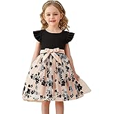 HNXDYY Little Girl Tutu Dress Ruffle Summer Holiday Casual Princess Dresses