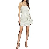 AMUR Women's Rei Twill Mini Dress