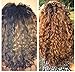 Argan deluxe 100% Pure Organic Moroccan Argan Oil Curl Defining Cream Restores Shine and Softness for all Curl Types. Formulated to hold Curls Pattern 8 oz.