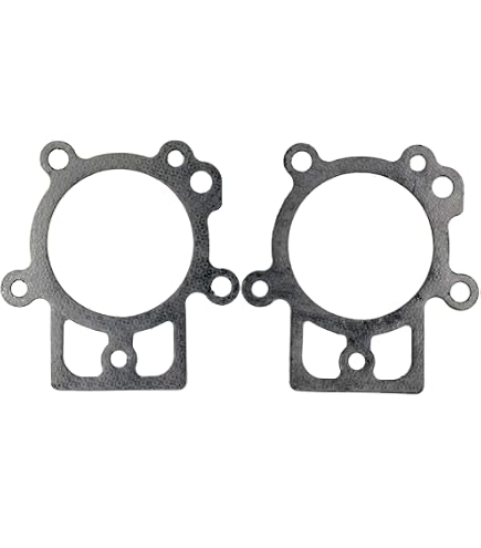 Amazon.com: Briggs & Stratton 694953 Crankcase Gasket Replacement