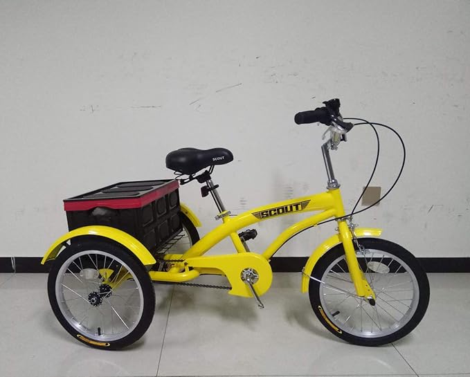 scout tricycle