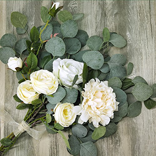 Supla 6 Pcs Artificial Silver Dollar Eucalyptus Leaf Spray in Green 25.