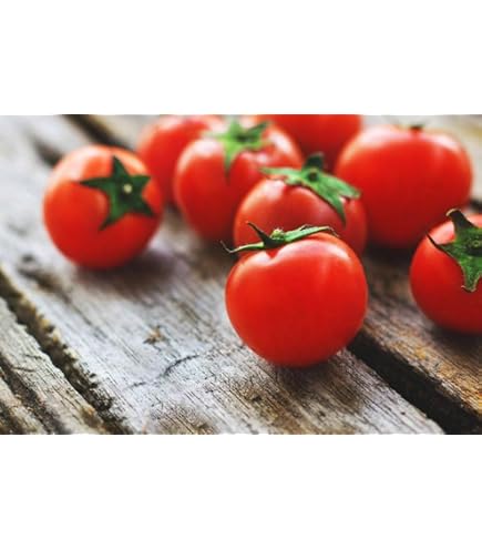 とまと様 Amazon.com : Bonsai Red Micro Dwarf Japanese Tomato Premium