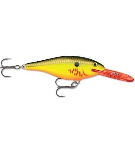Amazon.com : Rapala Shad Rap Bleeding Hot Olive (7) : Fishing