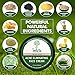TreeActiv Turmeric Charcoal Acne Mask | Natural Treatment for Facial Blackheads, Severe and Cystic Acne | Clear Skin and Face | Exfoliating | 2 oz